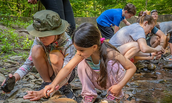 UW Summer Camp discount