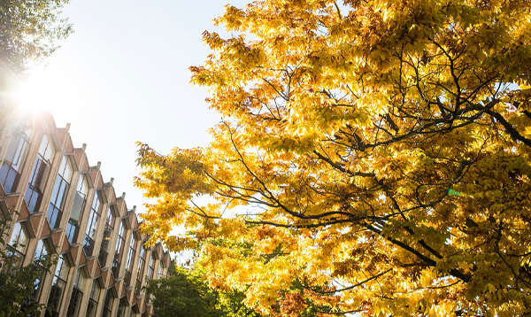 Recognize hazing prevention week