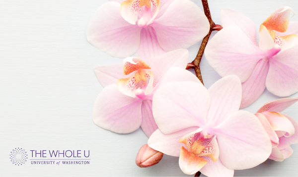 Virtual wellness series