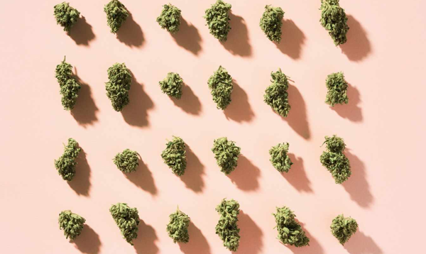 Understanding cannabis hyperemesis syndrome