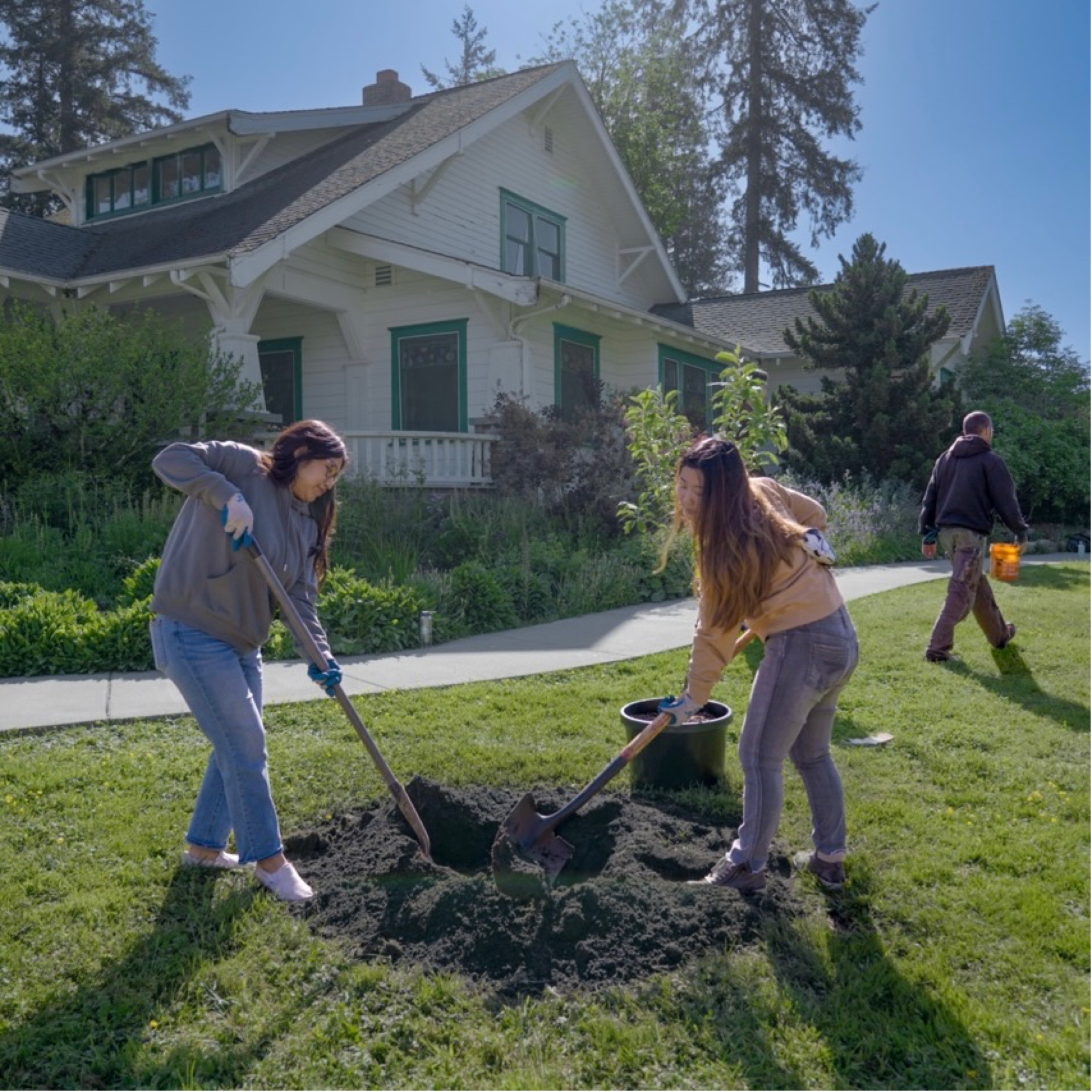 tree-planting.jpg